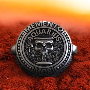 Sterling Silver Bearded Skull Ring: Memento Mori Aquarius Signet