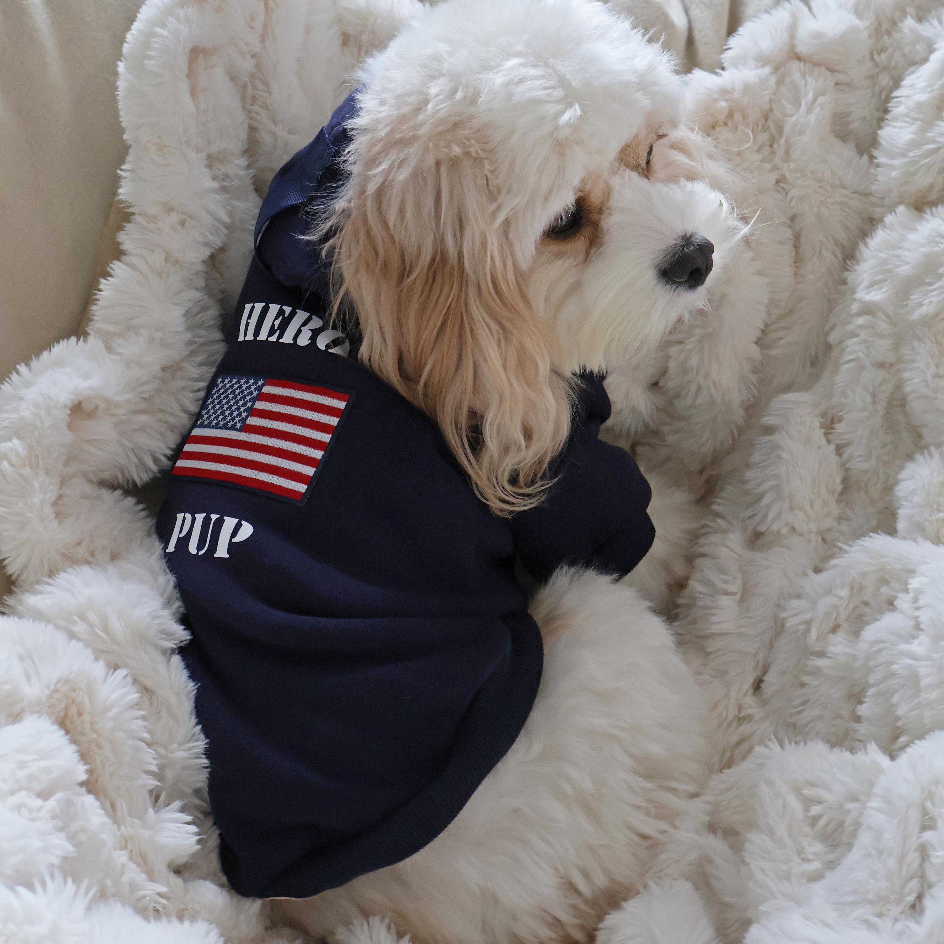 Dog Sweatshirt With Harness Hole - Etsy