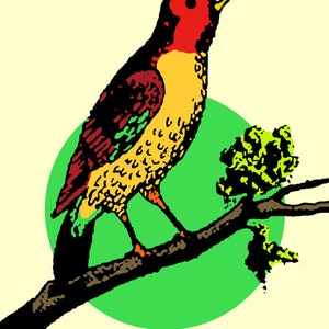 El Pajaro Loteria Mexican Pop Art Print