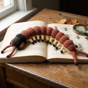 Peut inclure: Un jouet centipède crocheté aux tons marron, beige et noir repose sur un livre ouvert avec des illustrations d'insectes. Le jouet a un corps segmenté et des détails. Une loupe et des feuilles d'automne sont à proximité.
