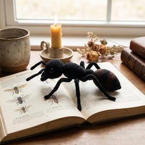 May include: A black and brown crocheted ant rests on an open book with insect illustrations. A lit candle in a ceramic holder, a speckled mug, and stacked leather-bound books are also visible. The scene is set on a wooden surface.