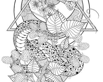 Snake and Blackberry Postcard Matte Art Print Black and White