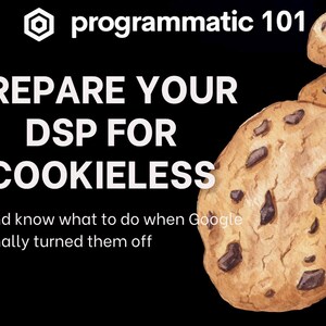 May include: A graphic with the text "programmatic 101" and "PREPARE YOUR DSP FOR COOKIELESS" and know what to do when Google finally turned them off". The graphic features a stack of cartoon chocolate chip cookies.