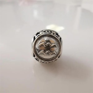 Pandora zodiac star sign silver charm 12 horoscope aquarius