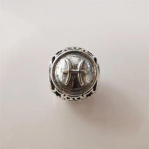 Pandora zodiac star sign silver charm 12 horoscope pisces