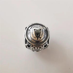 Pandora zodiac star sign silver charm 12 horoscope leo