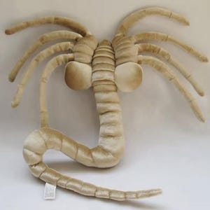 May include: A plush, beige facehugger toy, a creature from the Alien film franchise. The toy features multiple long, curved appendages and a segmented body. The head has large, rounded features. A tag is attached to the bottom.
