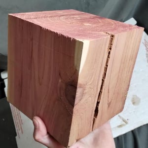 May include: A reddish-brown, rectangular block of wood with a visible crack running diagonally across one side. The wood grain is visible, and the block appears to be freshly cut. The block is held in a hand.
