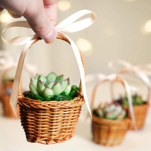 UROCZE żywe sukulenty - uchwyty do mini koszyczków. Idealne na baby shower, wesela, wieczory panieńskie!