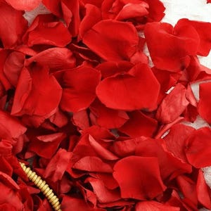 Real Dried Red Rose Petals – Romantic, Natural and Preserved for Weddings, Decor & Crafts – Eco-Friendly Confetti