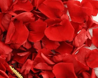 Real Dried Red Rose Petals – Romantic, Natural and Preserved for Weddings, Decor & Crafts – Eco-Friendly Confetti