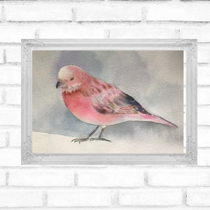 Aquarelle originale, moineau rose, décoration murale, cadeau pour les amateurs d&#39;oiseaux, décoration de chambre de bébé, décoration d&#39;oiseau, cadeau de pendaison de crémaillère, 30,5 x 30,5 cm
