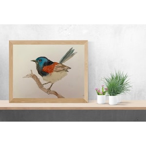Aquarelle originale d'oiseau mignon, art mural, décoration murale, décoration intérieure, art suspendu oiseau, cadeau pour les amateurs d'oiseaux, décoration intérieure nature, 6 x 8 po