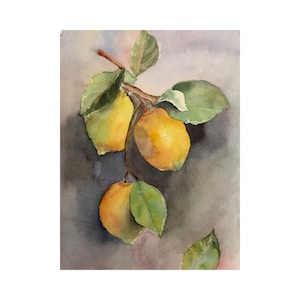 Fruits original watercolor, aquarelle original, wall decor, nature home decor, lemons fruits aquarelle, handmade watercolor