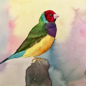 Bunter Vogel Aquarell, Vogelbild, buntes Vogelbild, Wandbehang, Kinderzimmer, Kinderzimmer, Natur Wohndekor, bunte Vogelkunst