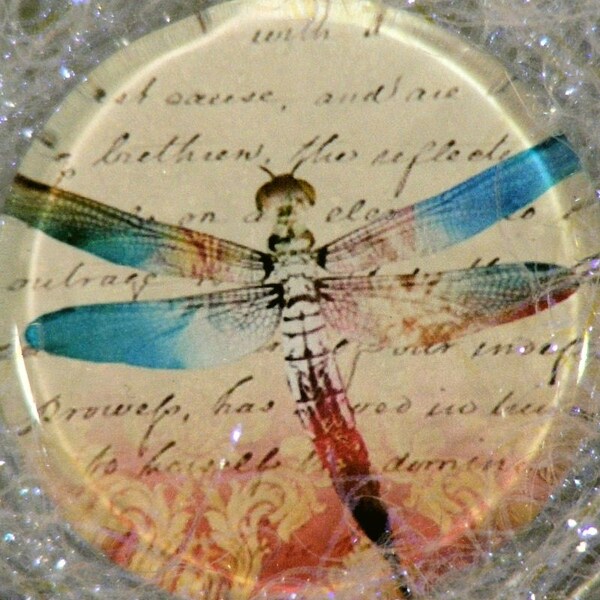 Glass Magnet-BIG 2x2 inch-Dragonfly Delight