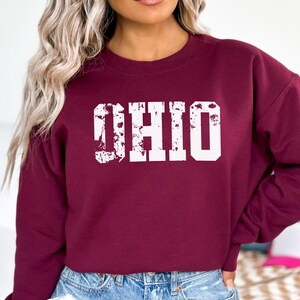 Vintage Ohio sweater, retro Ohio sweater, vintage Ohio sweatshirt, Ohio state sweater, Ohio souvenir sweater, Ohio Crewneck, Ohio Gifts