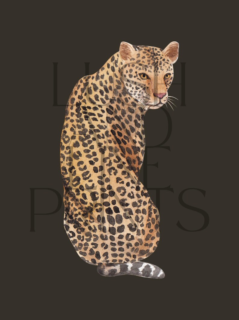 Leopard Print Art Prints Set – Modern Jungle Home Decor (digital ...