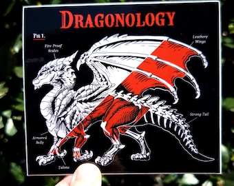 Dragonology Sticker: 4 inch Vinyl Waterproof