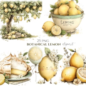 May include: Watercolor illustrations of lemons, including a lemon tree, a bowl of lemons, and a lemon character with a floral crown. The image also features a lemon pie and a lemon slice balloon. Text reads "25 PNG BOTANICAL LEMON clipart."