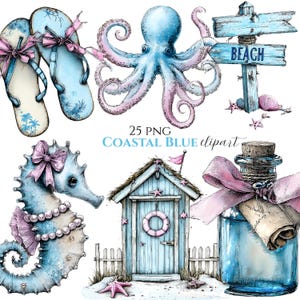 Coastal Seashell Clipart, Watercolor Beach Graphics, Nautical Summer Art, 25 PNG (Digital Download)