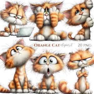 Könnte beinhalten: Eine Sammlung von orangefarbenen Cartoon-Katzen mit verschiedenen Gesichtsausdrücken. Einige Katzen schauen überrascht, verdecken ihre Augen oder sehen grimmig aus. Das Bild enthält den Text "ORANGE CAT clipart 20 PNG".