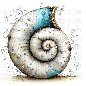 May include: Detailed illustration of a nautilus shell with a spiral design. The shell features a white base with blue and brown accents, and is adorned with small, round details. Delicate swirls and dots surround the shell, creating a whimsical effect.