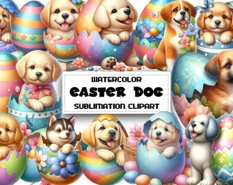 Animaux de Pâques dans des œufs, clipart PNG, chiens mignons, sublimation, fond transparent, téléchargement numérique pour autocollants et loisirs créatifs