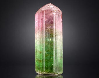 Natural Terminated Bicolor Lipstick Tourmaline from Paprok Afghanistan 24.50 carat