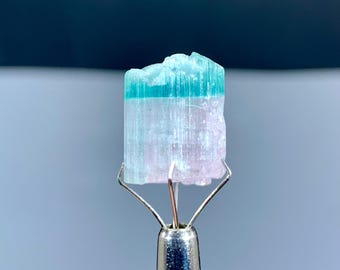 Natural Terminated Bicolor Tourmaline Crystal from Afghanistan - 16.10 carats