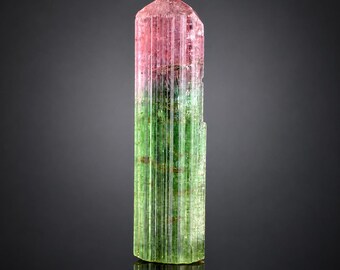 Natural Terminated Bicolor Lipstick Tourmaline from Paprok Afghanistan 22.50 carat