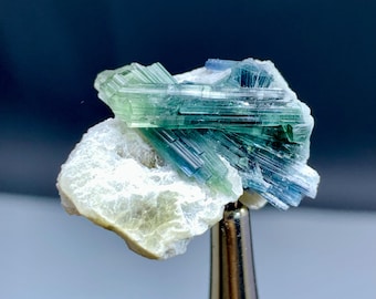 Natural Indicolite Blue Tourmalines on Mica from Afghanistan - 08 grams