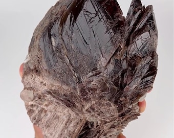 Natural Axinite Crystal Cluster with Quartz | Brown Axinite Mineral Specimen | Collector Crystal | Natural Mineral Specimen | 1355 gram