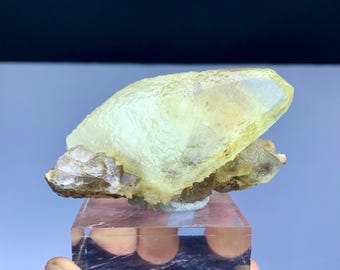 Hundezahn Gelber Calcit auf Fluorit Specimen, Afghanistan (137 gram)