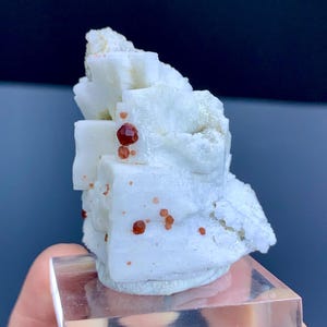 Puede incluir: Un espécimen mineral blanco con pequeños cristales de granate de color marrón rojizo. El mineral tiene una estructura cristalina en capas y está montado sobre una base acrílica transparente. El fondo es azul oscuro.