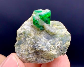 May include: A vibrant green emerald crystal, with a cubic shape, is embedded in a rough, gray rock. The crystal is surrounded by a white, crystalline matrix.