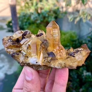 May include: A cluster of golden citrine crystals on a rough matrix. The crystals are translucent and have a slight yellow hue. The matrix is brown and has a rough texture.