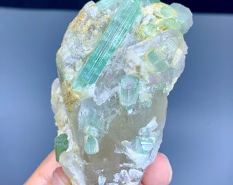 Bicolor Turmalincluster auf Quarz, Natürliches Turmalin Specimen aus Afghanistan - 234 gram