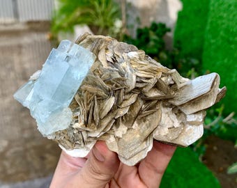 Sky Blue Aquamarine Crystal on Muscovite from Nagar valley, Pakistan - 340 grams