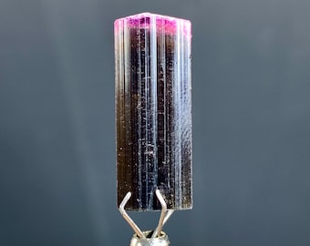 Pink Cap Bicolor Tourmaline Crystal from Afghanistan - 14.50 carats