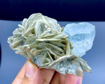 Natürlicher Aquamarin Kristall auf Muskovit, Nagar Tal Pakistan