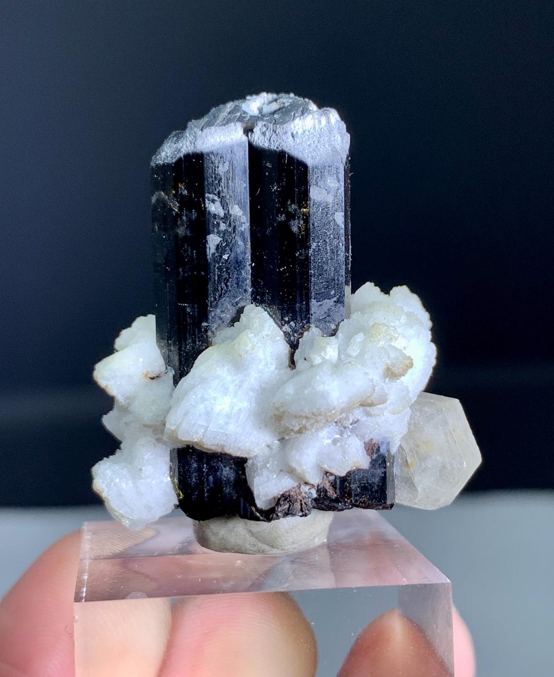 Fluorescent Apatite Combine Black Tourmaline and Albite From Skardu ...