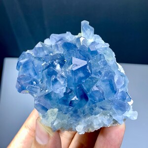 May include: A cluster of blue fluorite crystals. The crystals are a vibrant, translucent blue with sharp, geometric shapes. The base of the cluster is a lighter, opaque color. The overall appearance is crystalline and natural.