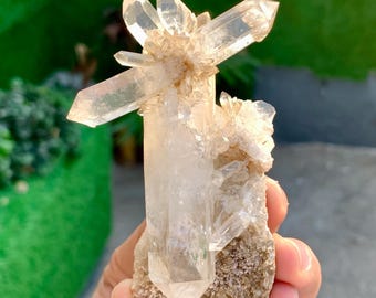 Può includere: Un gruppo di cristalli di quarzo trasparente con più punte. Il quarzo è traslucido, di colore chiaro, ed è attaccato a una matrice ruvida di colore beige. La formazione cristallina è tenuta in mano su uno sfondo verde.