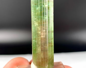 Watermelon Tourmaline Crystal, Natural Tricolor Tourmaline, Crystal Pendant