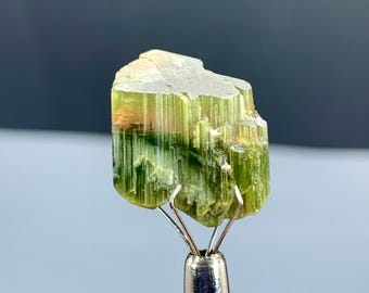 Natural Terminated Bicolor Tourmaline Crystal from Afghanistan - 22.45 carat