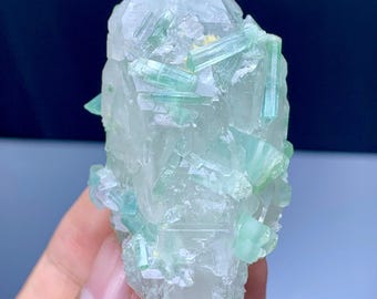 パキスタン産、ブルーキャップトルマリン結晶（母岩にクォーツ入り