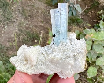アクアマリン＆ショール標本：パキスタン・スカルドゥ産クリスタル