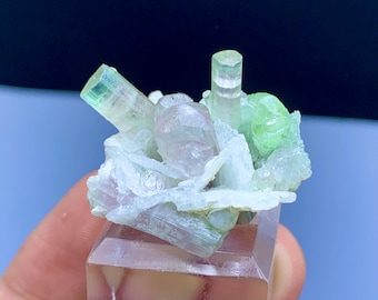 緑豊かなトルマリン結晶標本：パキスタン、チャプ鉱山（0.6グラム