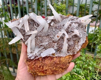 Exceptional Crystallized Aragonite Bunch on Matrix ~ Baluchistan Pakistan - 861 gram